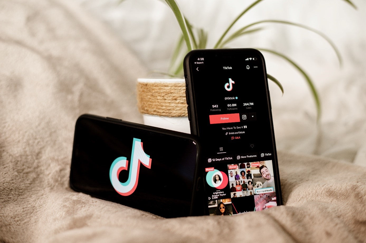 Quelle photo de profil Tik Tok publiée ?